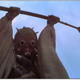 Illustration for article titled First photo from Star Wars: Episode VII filming confirms all your sand-related fears